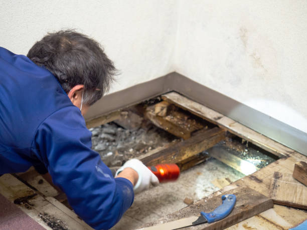 Best Post-Remediation Services in Virginia Gardens, FL